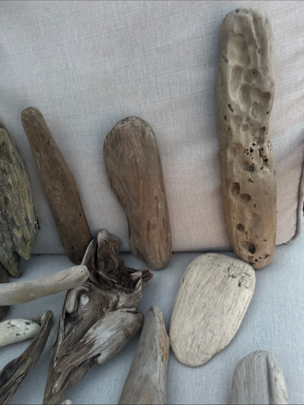 Natural Pacific Northwest Collected Beach Driftwood Decorative Accents 15 pcs - Picture 4 of 12